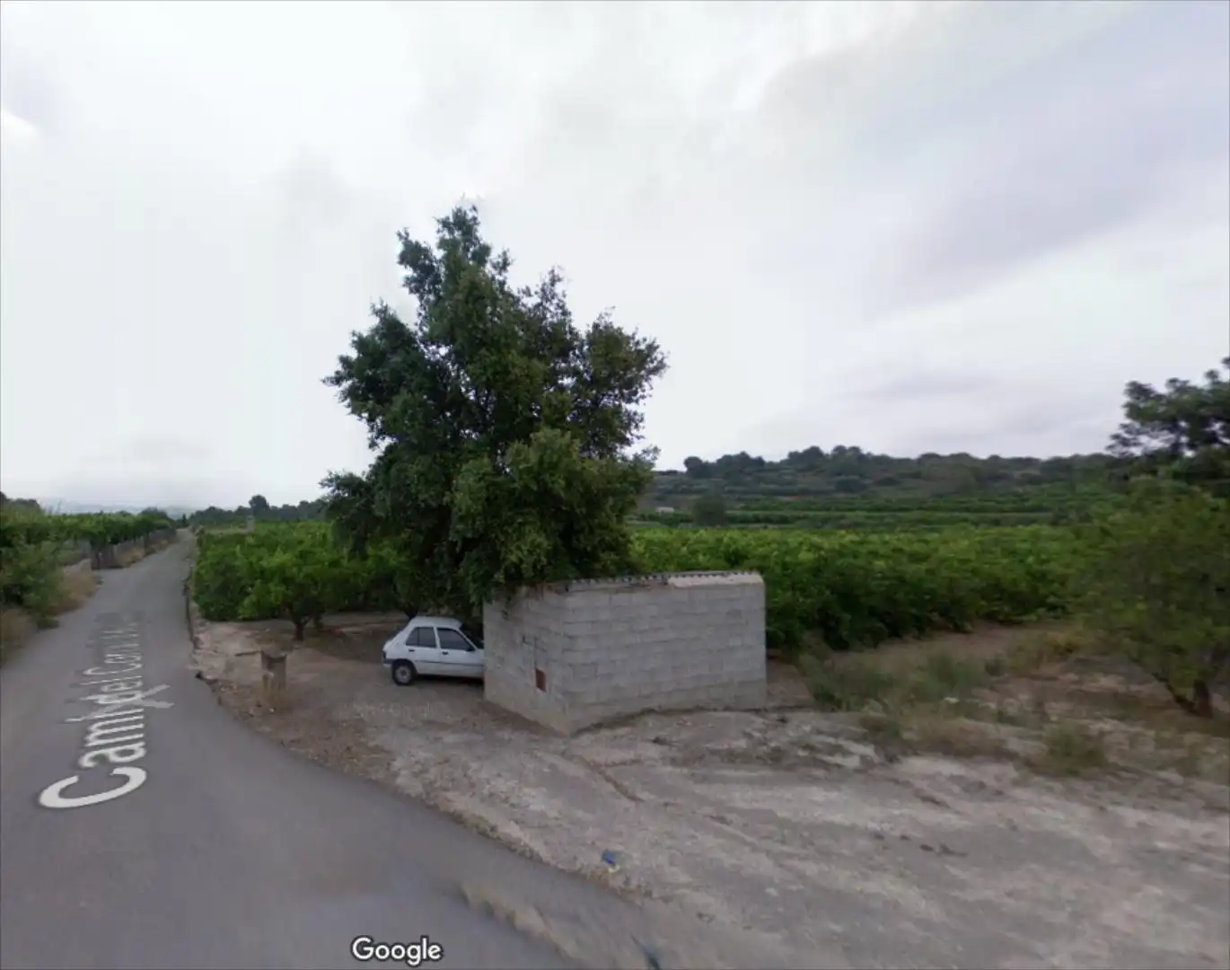 Land for sale in Vilamarxant