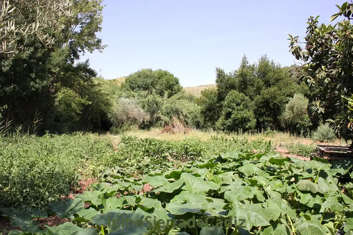 Casa rústica en venda a Algodonales, imagen 15