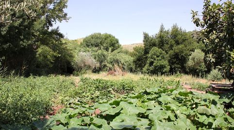 Finca Rúst. en venta en Algodonales., image 2
