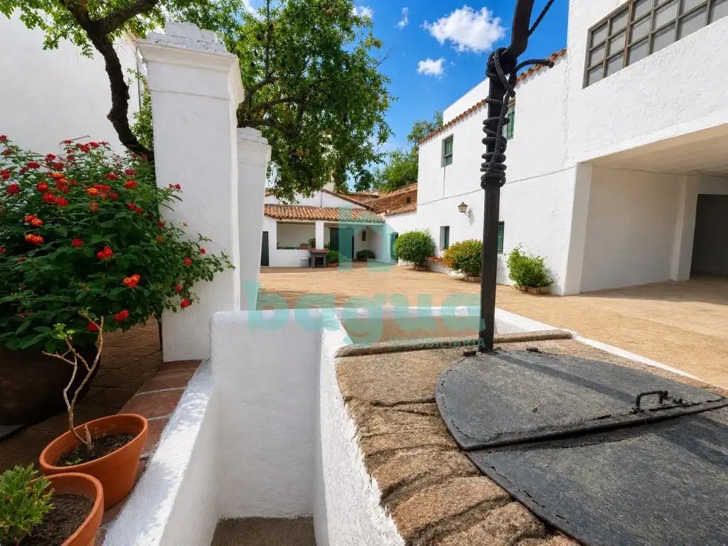 Vista exterior de Casa o chalet en venta en Almendralejo