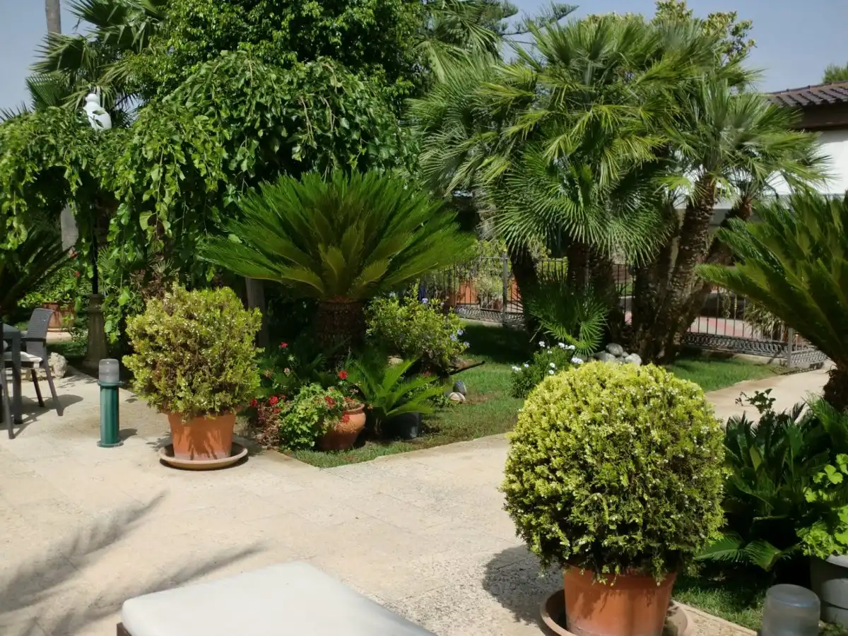 Villa avec piscine à vendre à Valverde, imagen 35