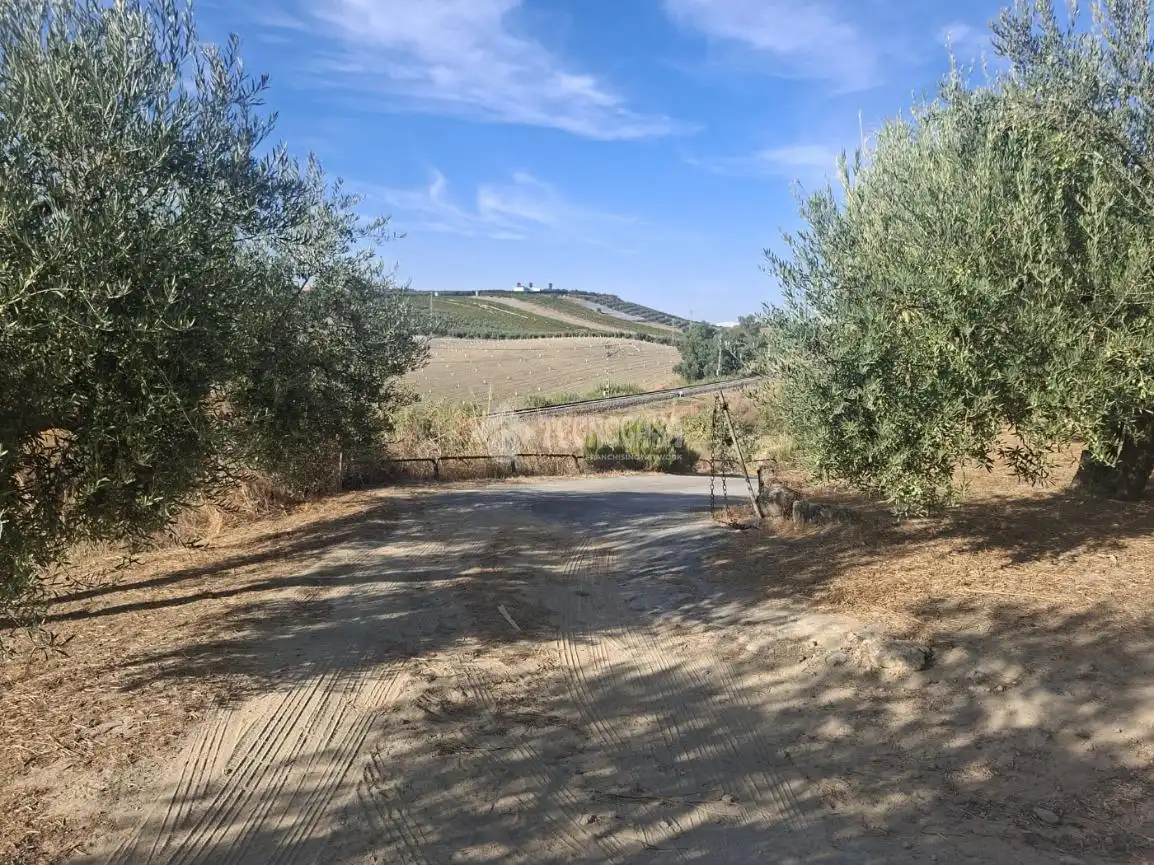 Terreny en venda en Montilla, Córdoba