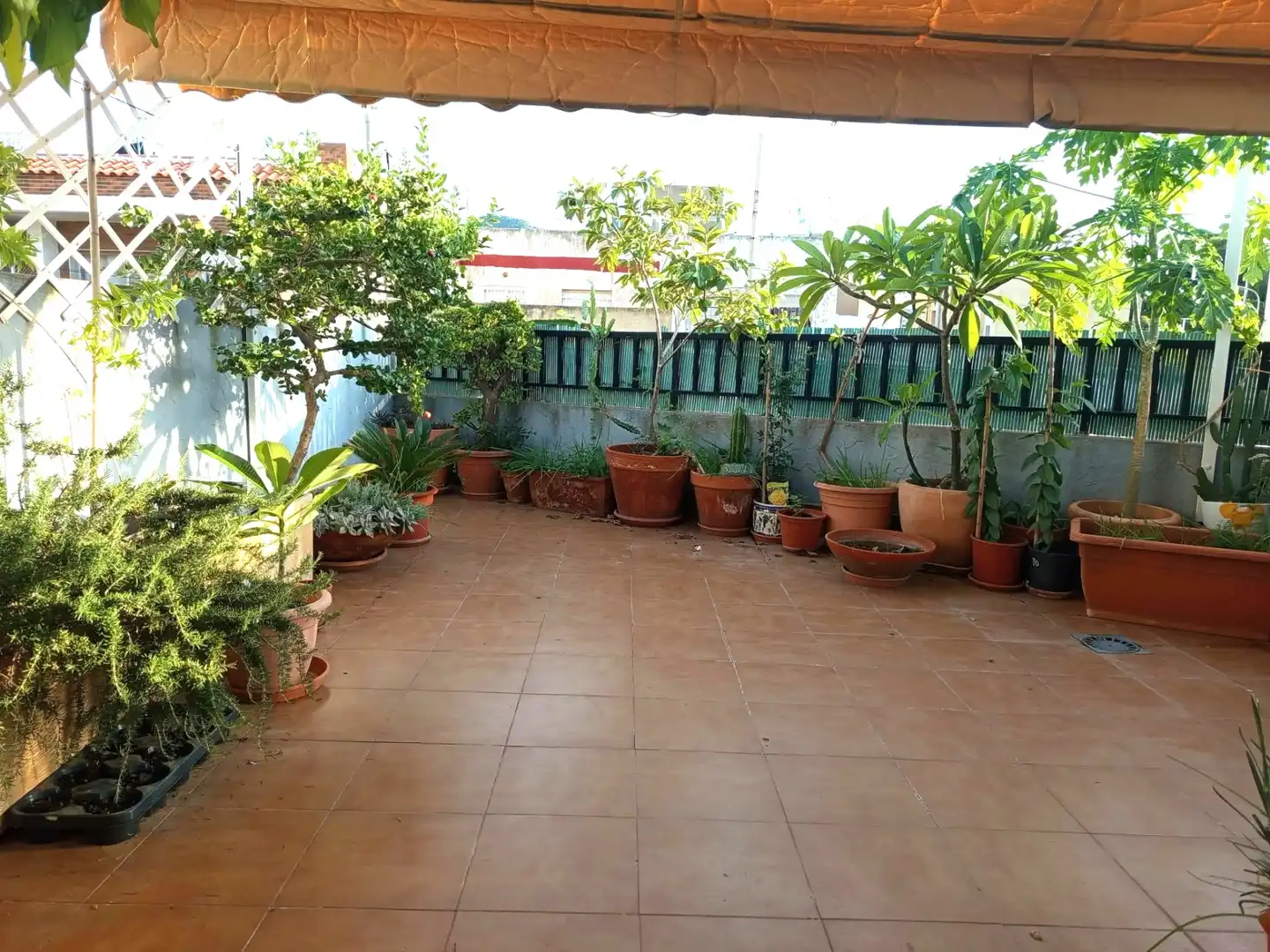 Terrassa de Casa o xalet en venda en Mar Menor de Cartagena – Cabo de Palos