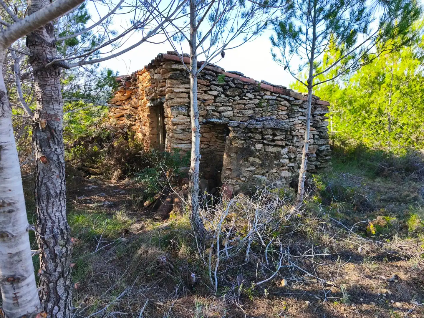 Rural land for sale in Carrer Fray Salvador 50