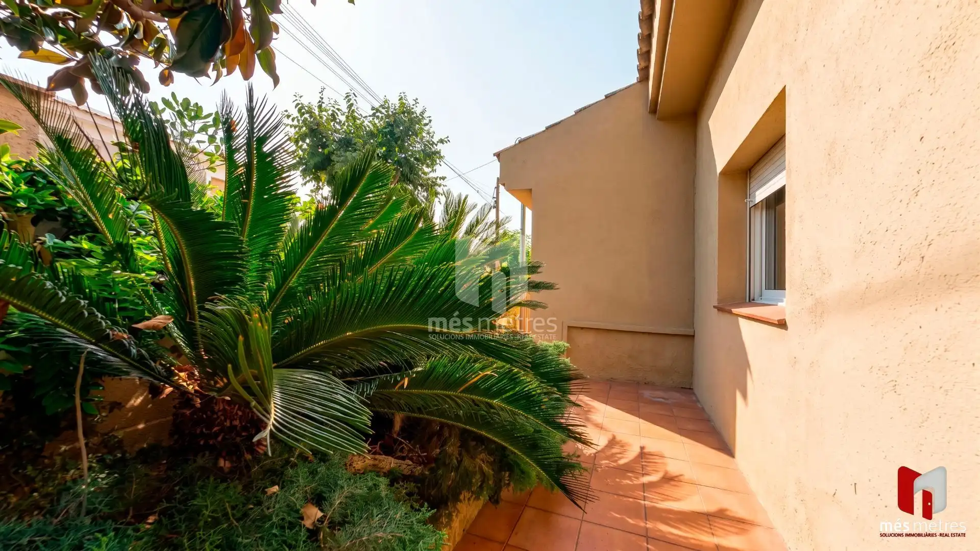 Vista exterior de Casa o chalet de alquiler en El Masnou con Calefacción, Jardín privado y Trastero