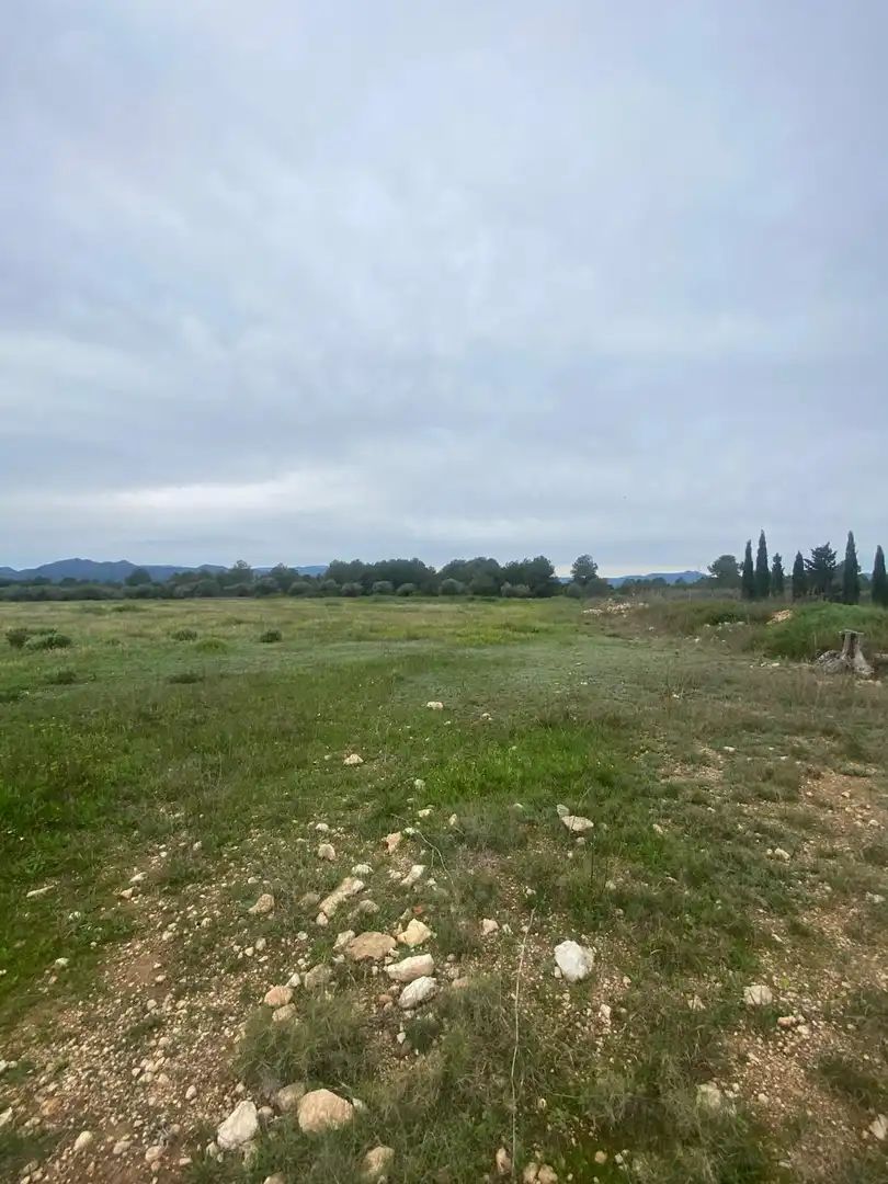 Lands and plots for sale in Ginestar, imagen 7