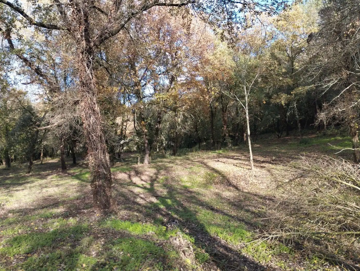 Finca rústica en venda en Quart