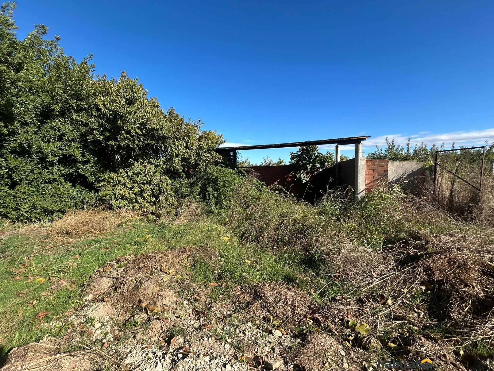 Land for sale in Bellpuig