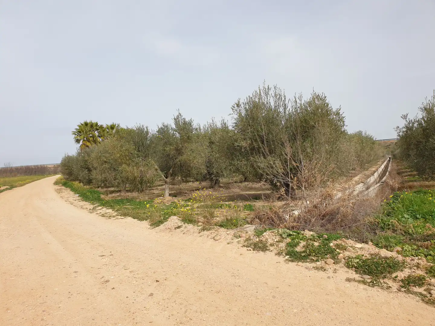 Terreny rústic en venda a Villanueva de la Serena, imagen 5