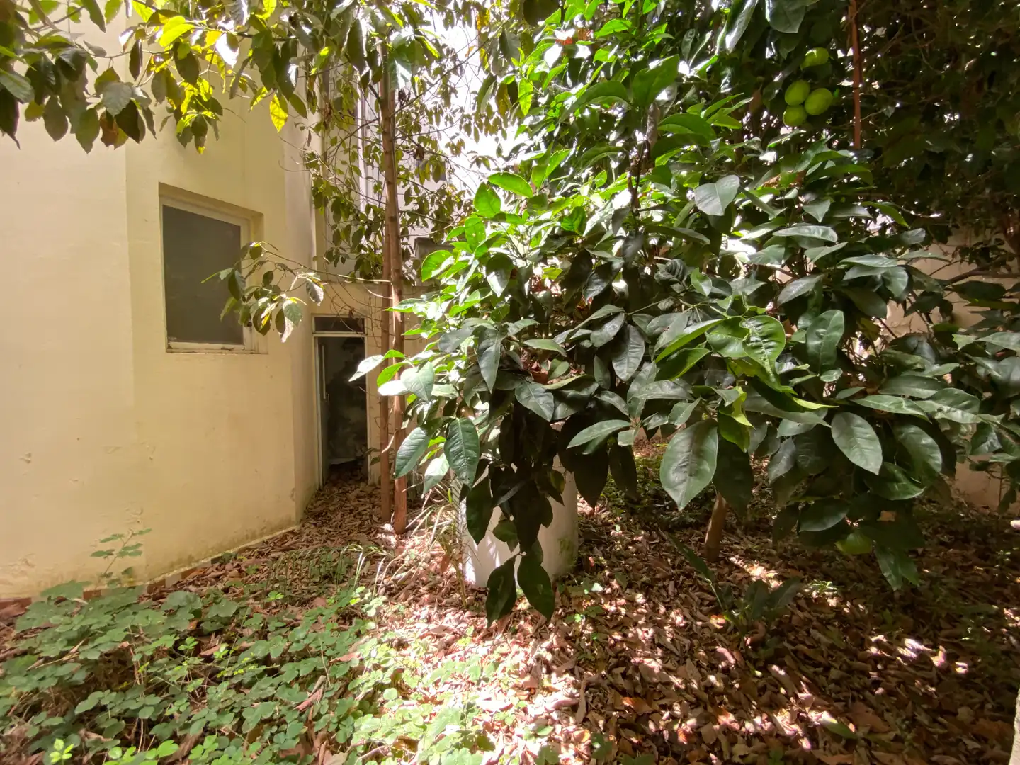 Jardín de Casa adosada en venta en Santa Brígida con Terraza y Alarma