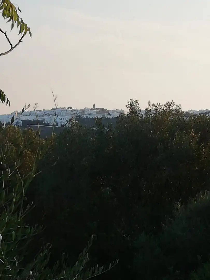 Casa rústica en venda a Vejer, imagen 8