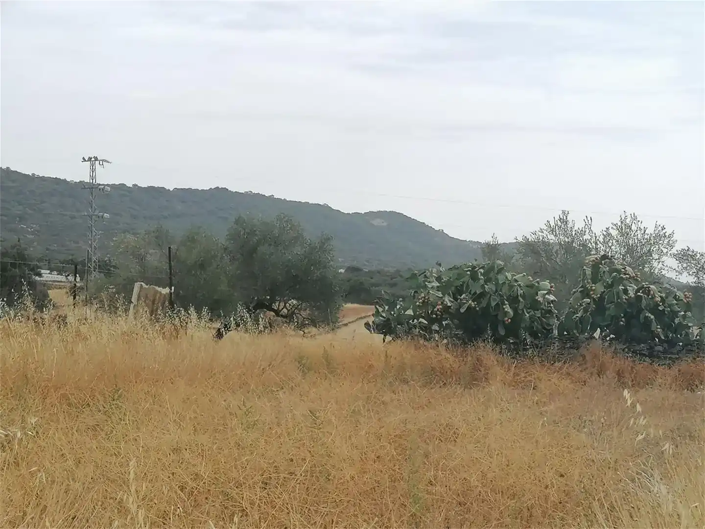 Planta baixa en venda en Arroyomolinos de León amb Jardí privat