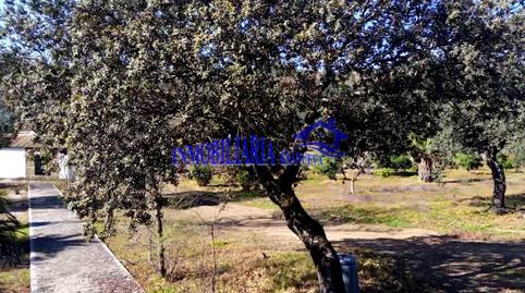 Photo 4 of Country house for sale in Adamuz, Córdoba