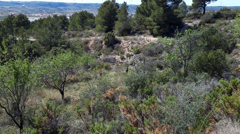 Foto 4 de Terreno en venta en Gandesa, Tarragona