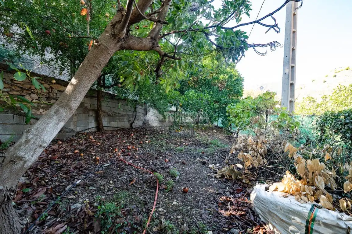 Casa amb jardí en venda a El Pinar, imagen 29