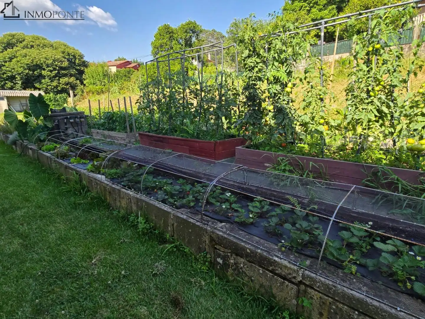 Jardí de Casa o xalet en venda en Pontevedra Capital  amb Calefacció, Jardí privat i Terrassa