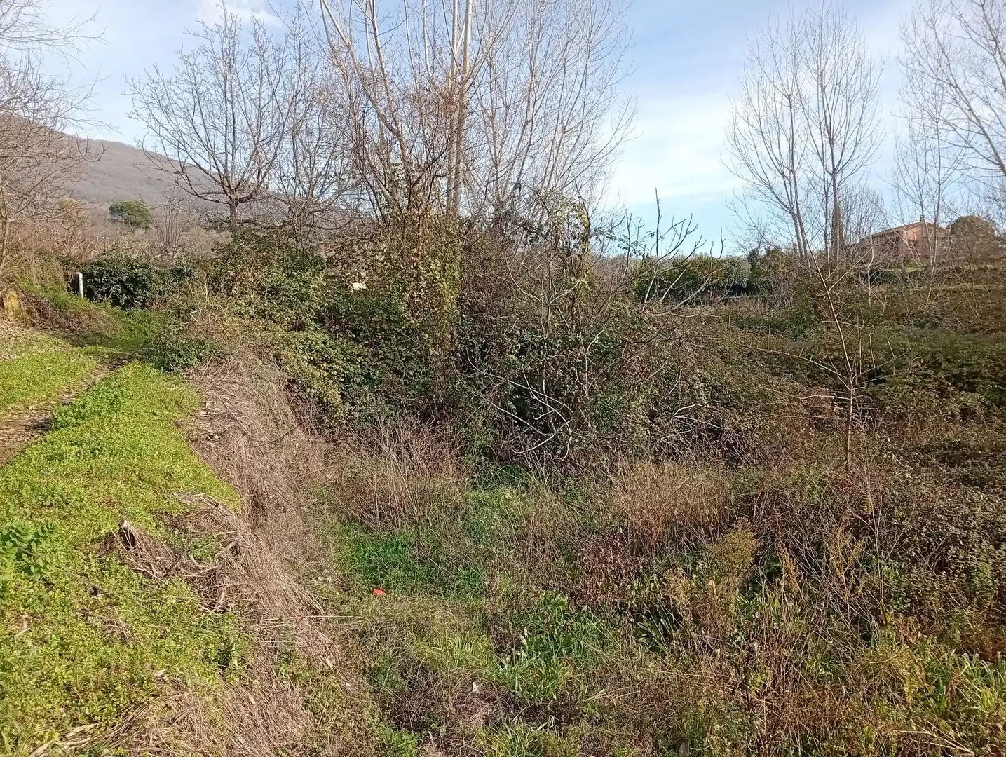 Terreni e lotti in vendita a Valverde de la Vera, imagen 16