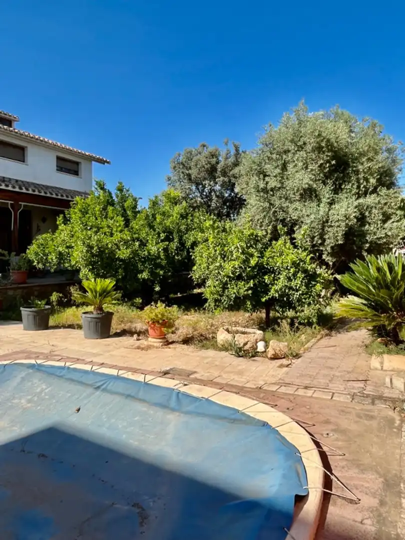 Villa avec terrasse à vendre à Elche ciudad, imagen 49