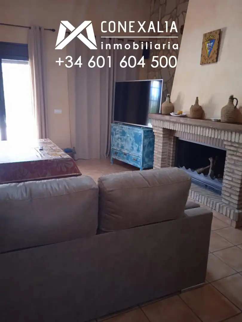 Sala de estar de Finca rústica en venta en Algodonales con Piscina
