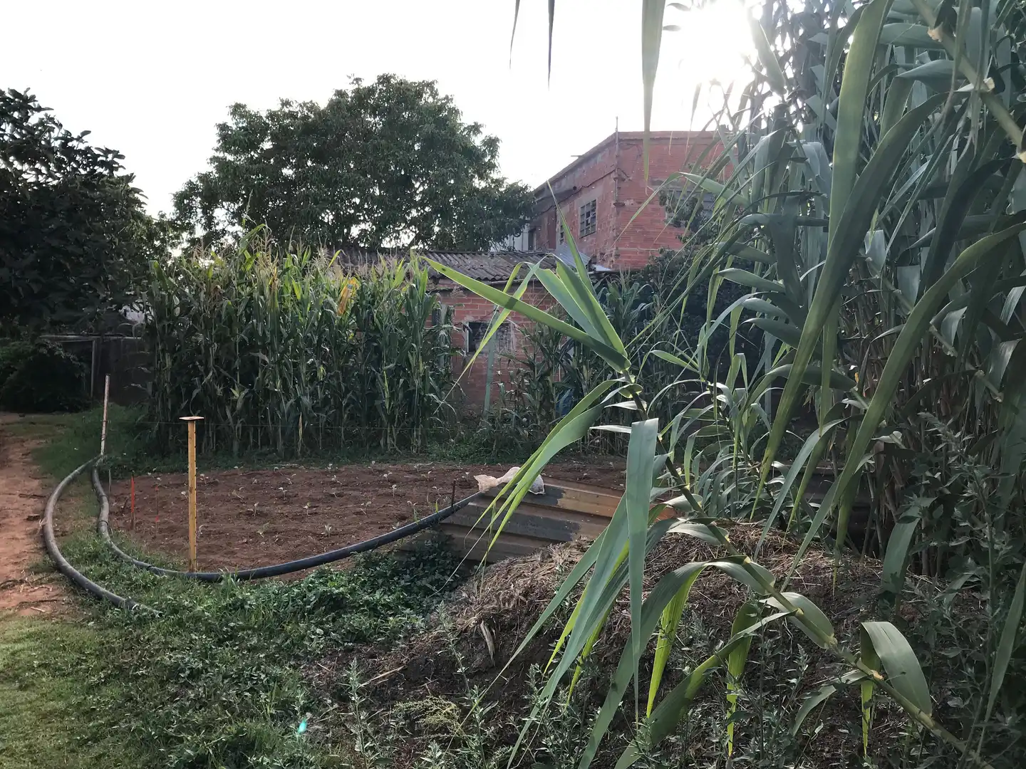 Garden of Land for sale in Sabadell
