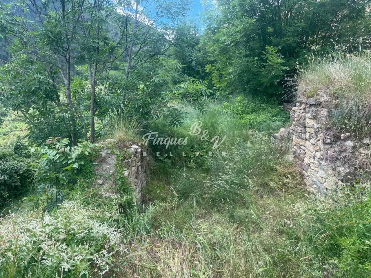Casa o xalet en venda en El Pont de Bar amb Calefacció, Jardí privat i Parquet
