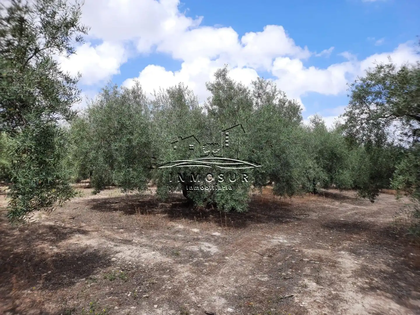 Terreno rústico en venta en Las Vegas - Campoaras