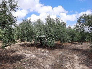 Terreno rustico in vendita a Las Vegas - Campoaras