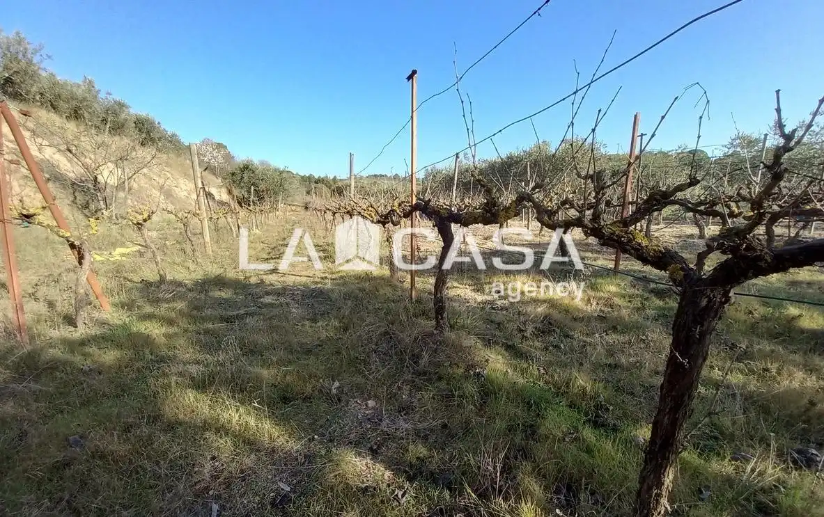 Terreno rustico in vendita a Zona Industrial, imagen 17