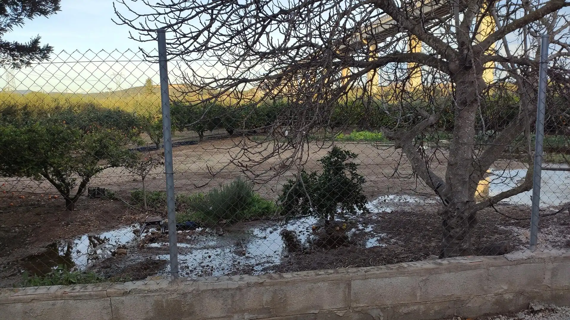 Finca rústica en venta en Amposta