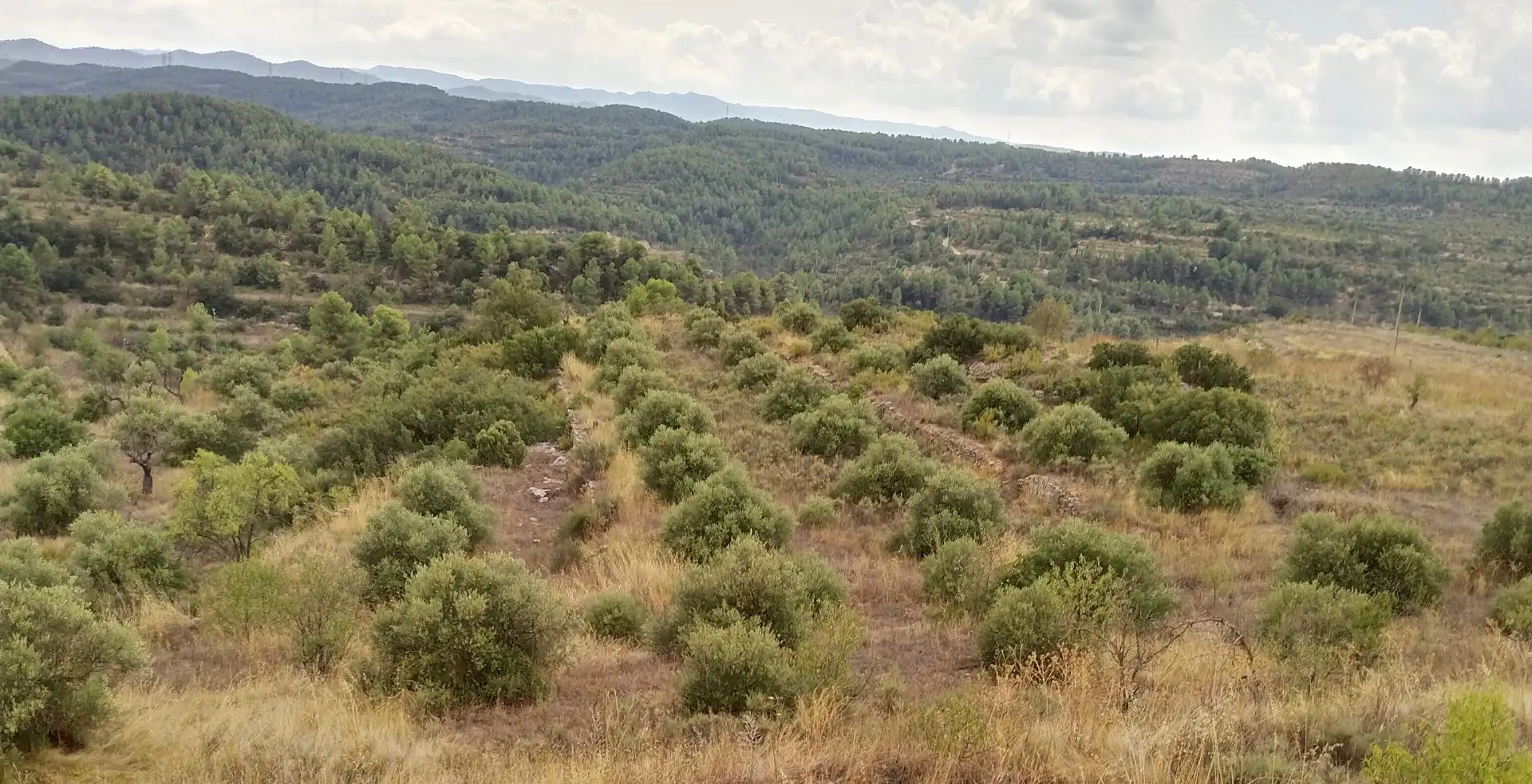 Terreno rustico in vendita a Carrer Onze de Setembre 21, imagen 2