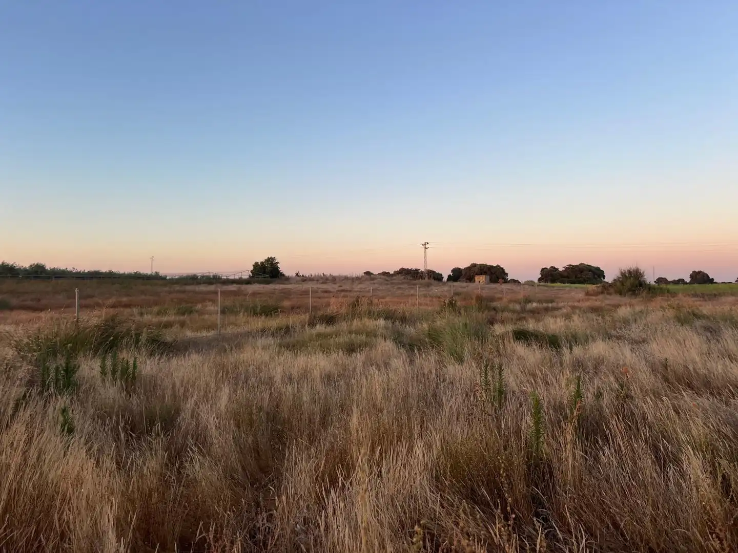 Terreny rústic en venda a Pedanías Norte, imagen 5