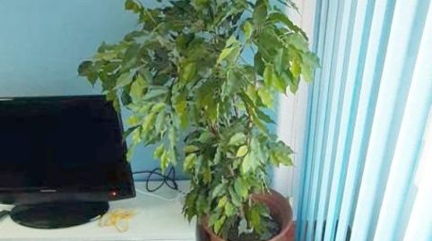 Foto 4 de Pis de lloguer a Santutxu Kalea, Santutxu - Basarrate, Bilbao