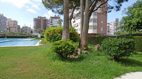 Foto 3 de Piso de alquiler en Avenida de San Sebastián, Playa de San Juan, Alicante