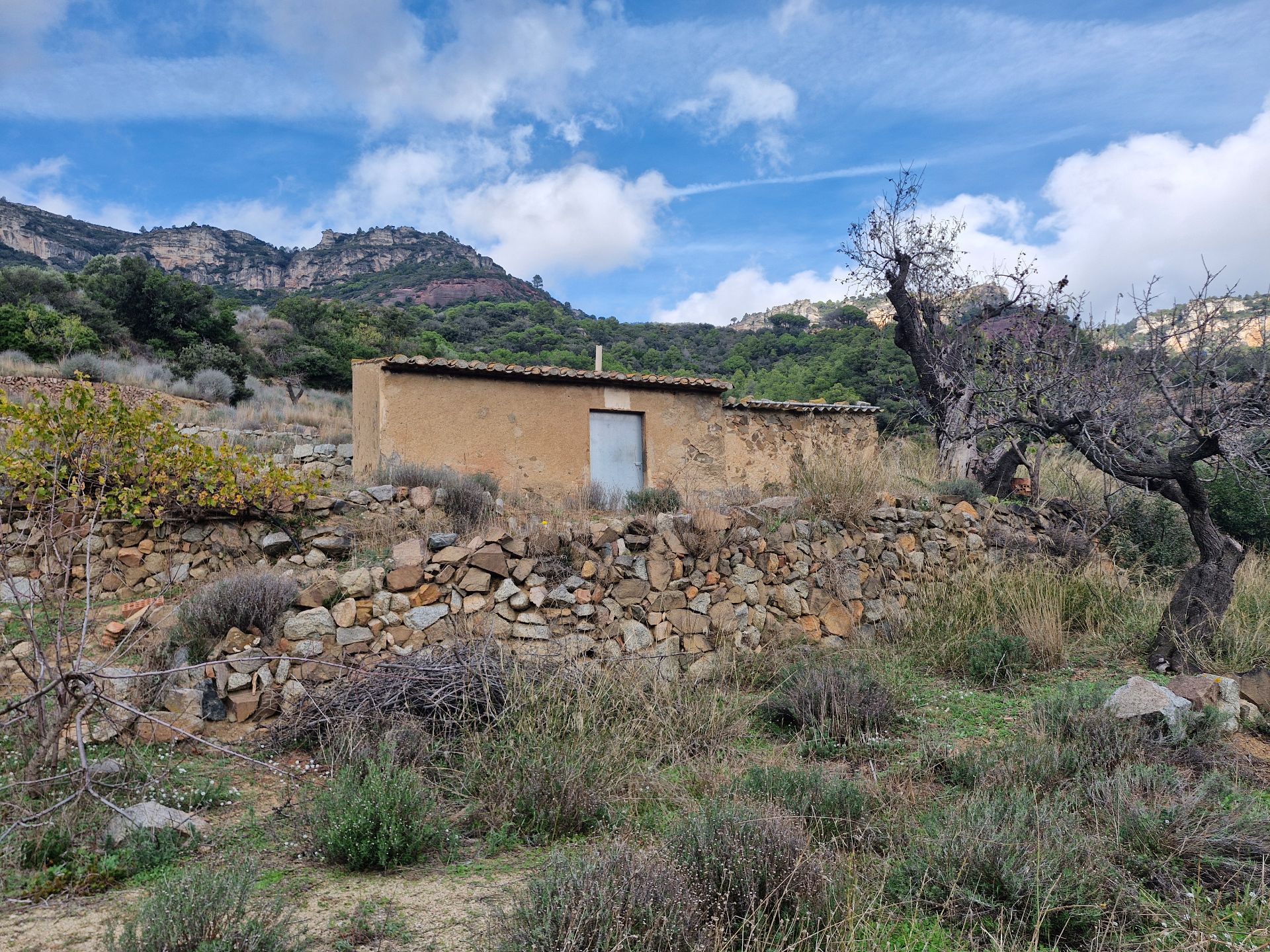 Land for sale in Alforja