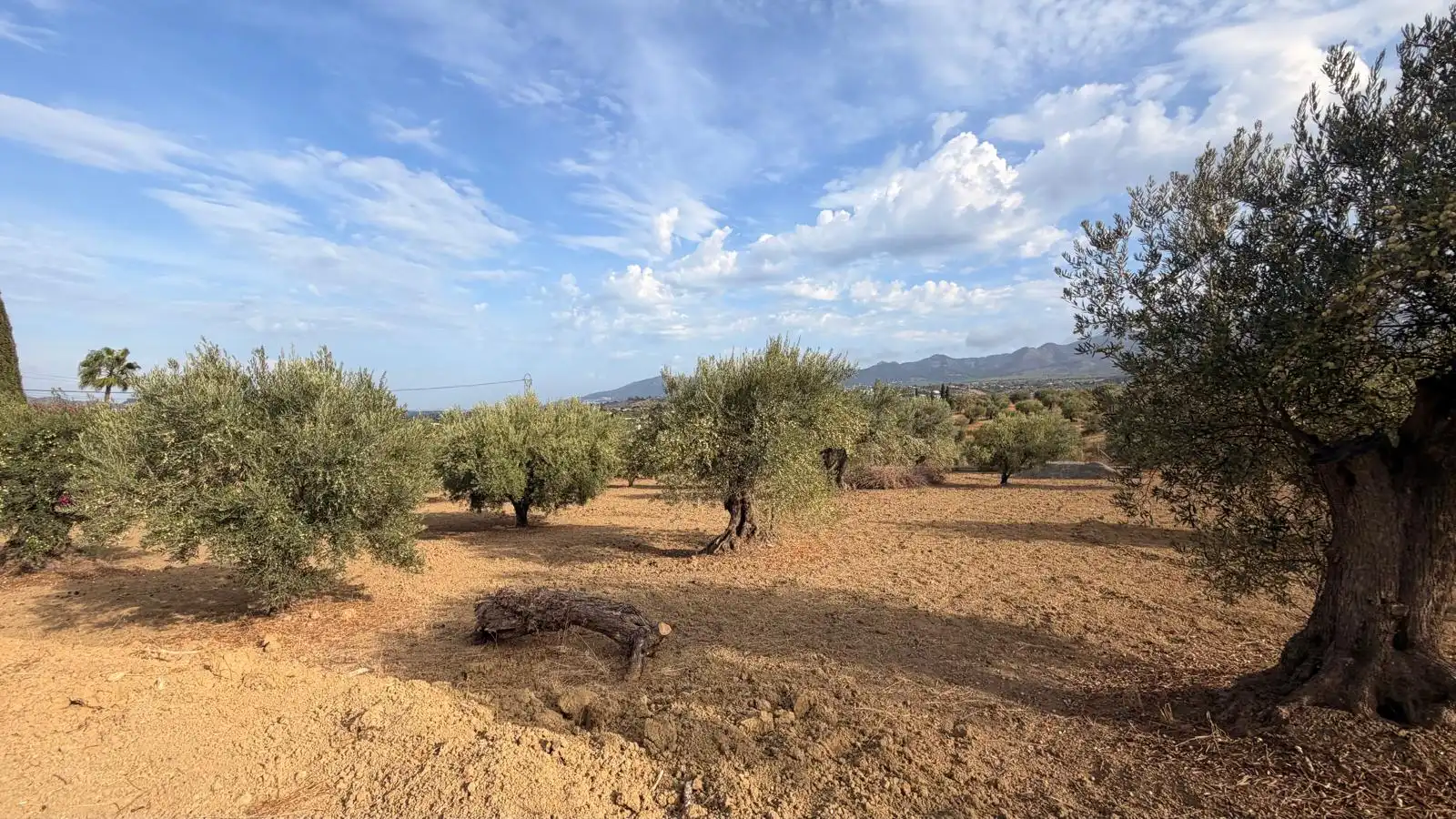Rural land for sale in El Romeral - Peñón de Zapata, imagen 9