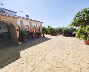 Garden of Country house for sale in Montemayor