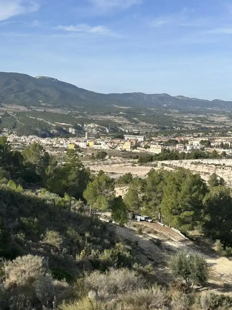 Vista exterior de Finca rústica en venda en Tibi