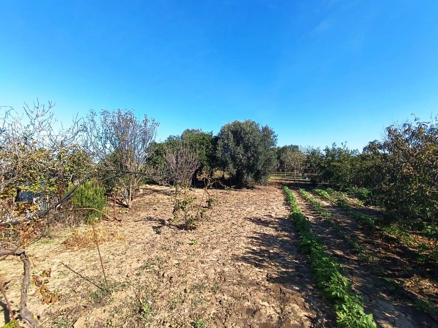 Terreni e lotti in vendita a El Juncal - Vallealto, imagen 19