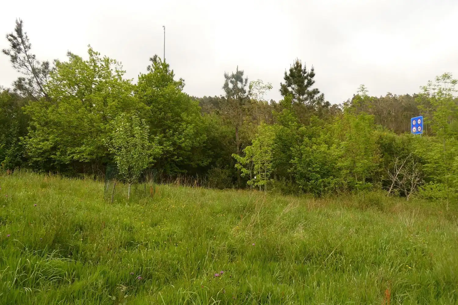 Villa avec jardin à vendre à ferreira, imagen 25