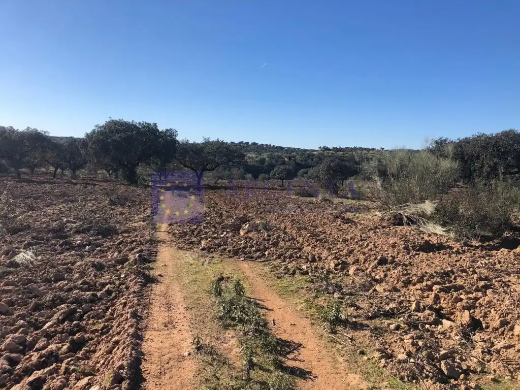 House for sale in Lugar Arcos, imagen 2