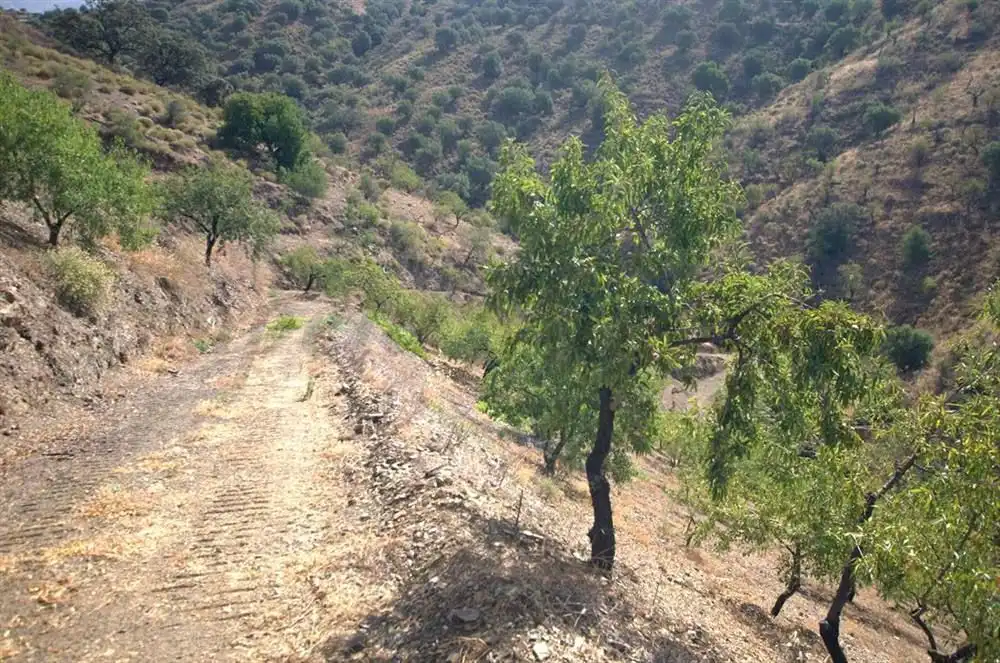 Terreno rústico en venta en Sedella, imagen 4