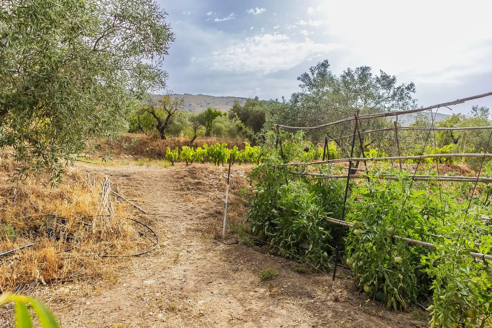 Country homes for sale in Abrucena  with Storage room