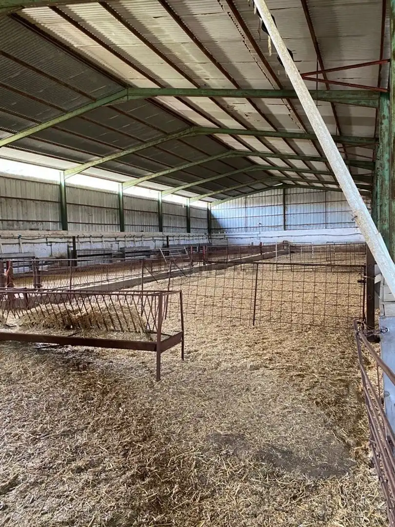 Fabrikhallen zur Miete in El Viso de San Juan