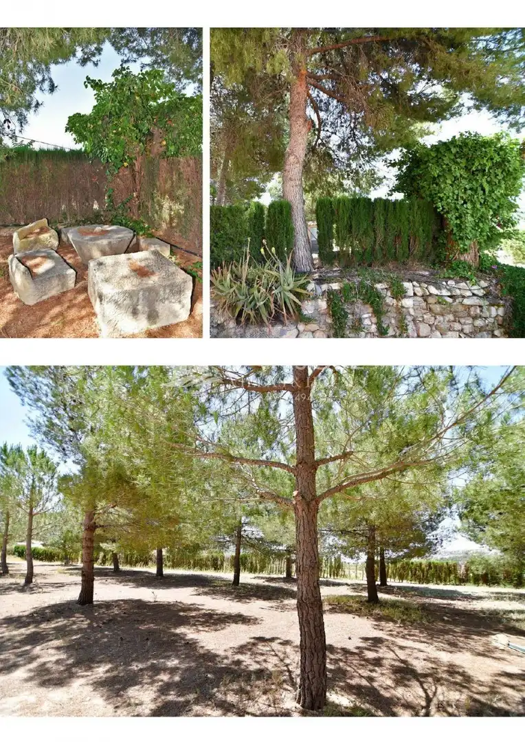Jardín de Finca rústica en venta en El Pinós / Pinoso con Jardín privado, Piscina y Amueblado