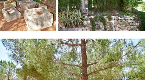 Foto 3 de Finca rústica en venta en El Pinós / Pinoso, Alicante