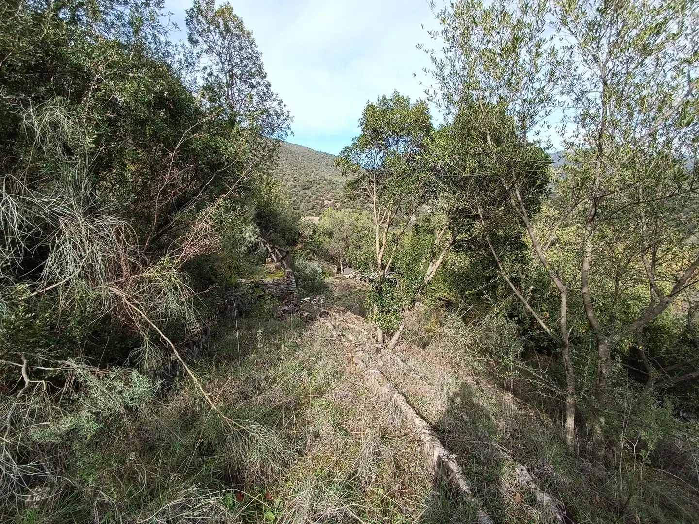 Terreni e lotti in vendita a Benaocaz, imagen 3