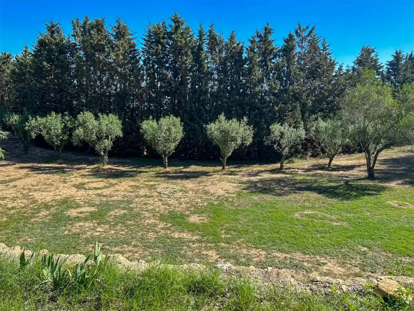 Piso en venta en Bonastre con Jardín privado, Trastero y Piscina