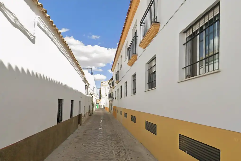 Exterior view of Houses for sale in Écija
