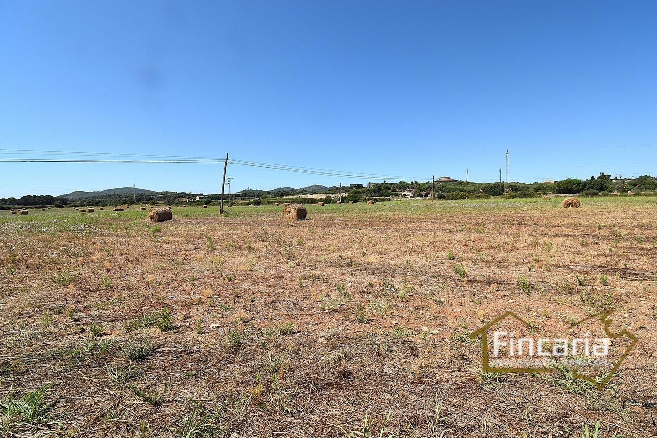 Finca rústica en venta en Manacor-Porto Cristo, Manacor Centre  , Manacor
