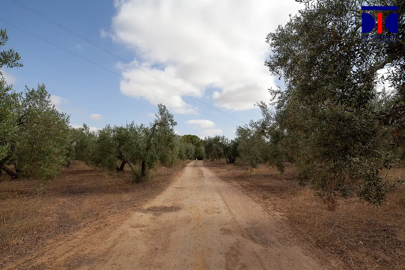 Finca rústica en venta en Carmona con Jardín privado, Terraza y Piscina